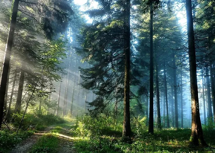 Вилла Blue Horizon *