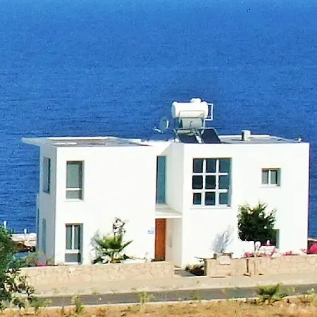 Willa Blue Horizon *