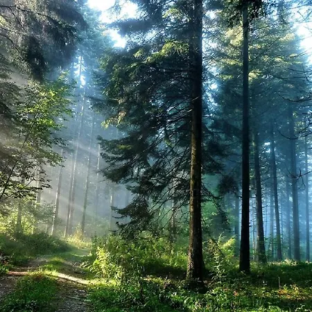 Willa Blue Horizon *