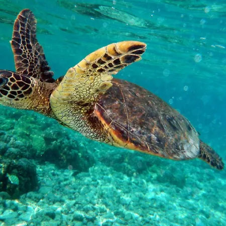 Willa Blue Horizon Agios Amvrosios (Kyrenia)